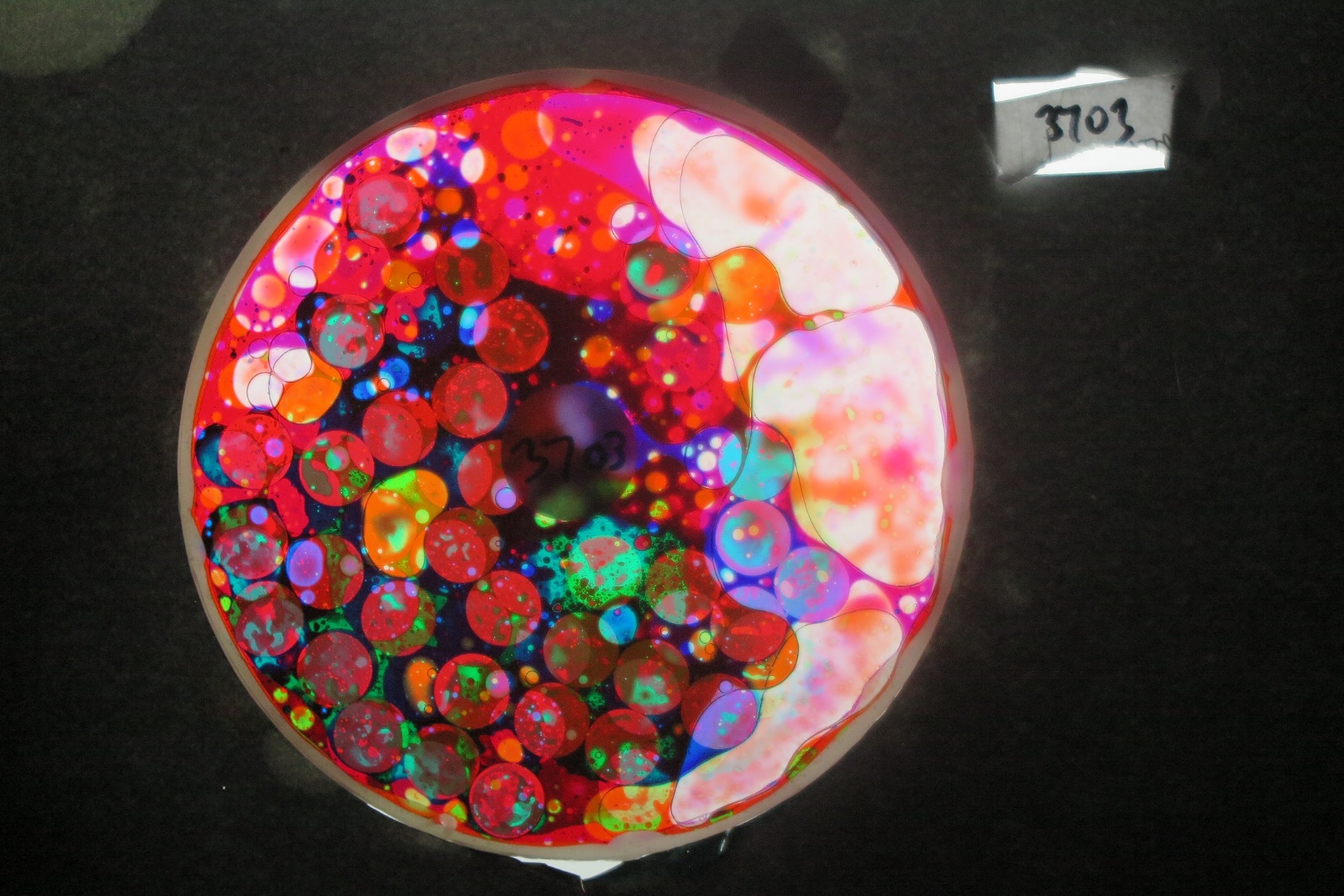 BV3703 bubble vision oil wheel